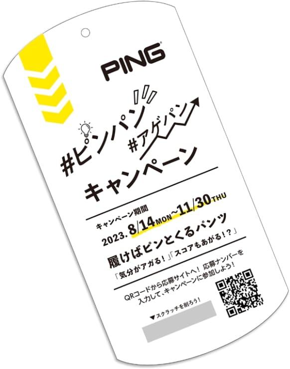 ボトム体感キャンペーン